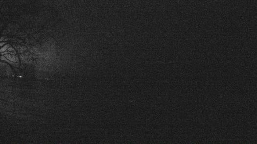 Weather camera view of Forest Lawn Beach.