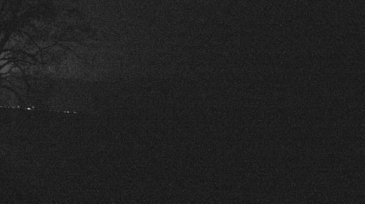 Weather camera view of Forest Lawn Beach.