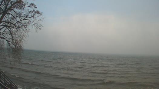 Weather camera view of Forest Lawn Beach.