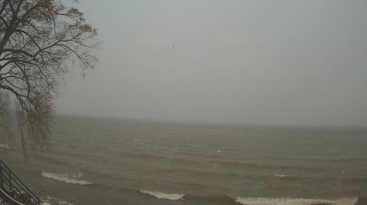 Weather camera view of Forest Lawn Beach.