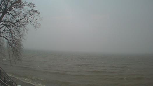 Weather camera view of Forest Lawn Beach.