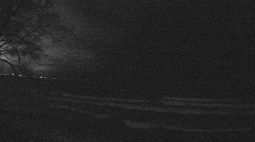 Weather camera view of Forest Lawn Beach.