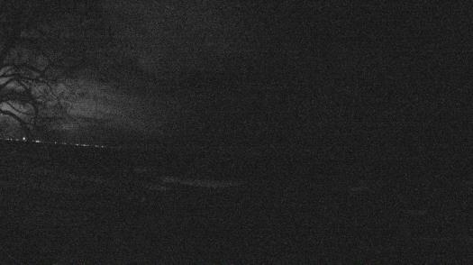 Weather camera view of Forest Lawn Beach.