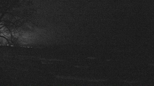 Weather camera view of Forest Lawn Beach.