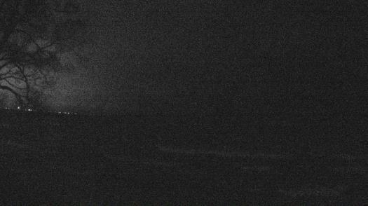 Weather camera view of Forest Lawn Beach.