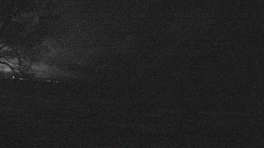 Weather camera view of Forest Lawn Beach.