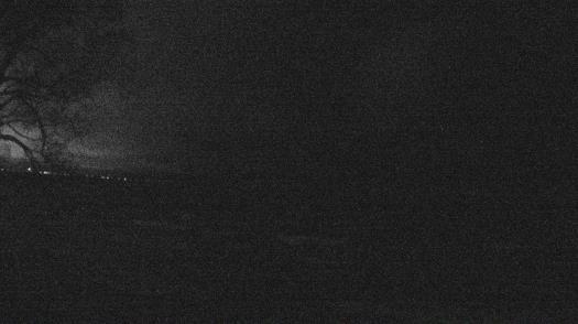 Weather camera view of Forest Lawn Beach.