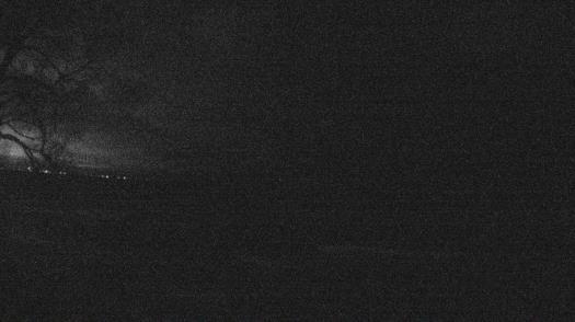 Weather camera view of Forest Lawn Beach.