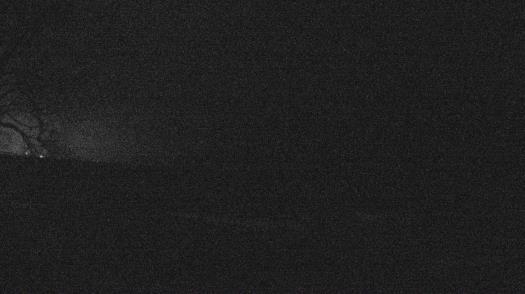 Weather camera view of Forest Lawn Beach.