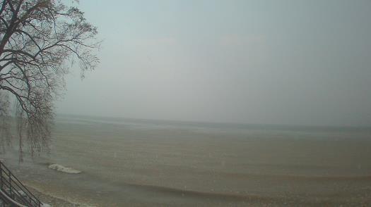 Weather camera view of Forest Lawn Beach.