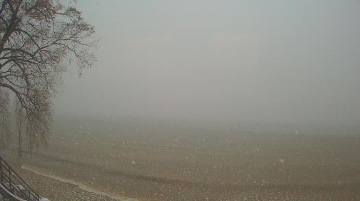 Weather camera view of Forest Lawn Beach.