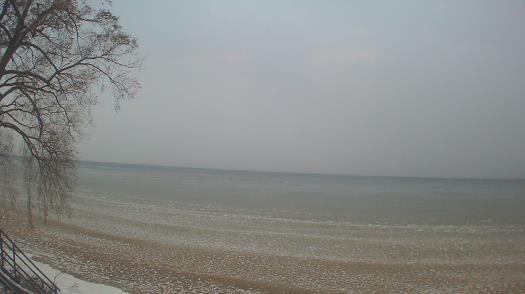 Weather camera view of Forest Lawn Beach.