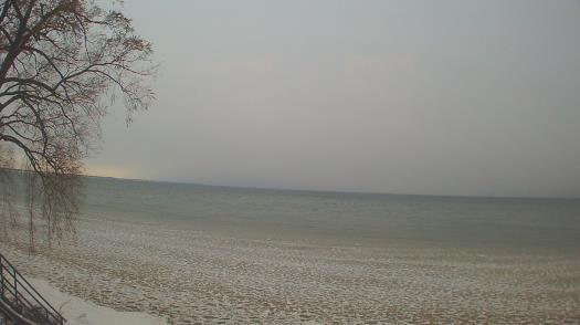 Weather camera view of Forest Lawn Beach.
