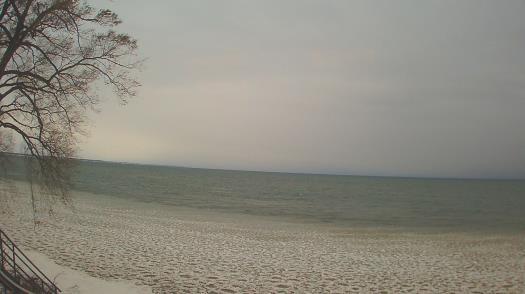 Weather camera view of Forest Lawn Beach.