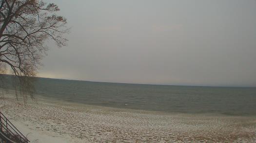 Weather camera view of Forest Lawn Beach.