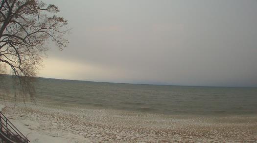 Weather camera view of Forest Lawn Beach.