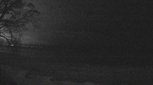 Weather camera view of Forest Lawn Beach.