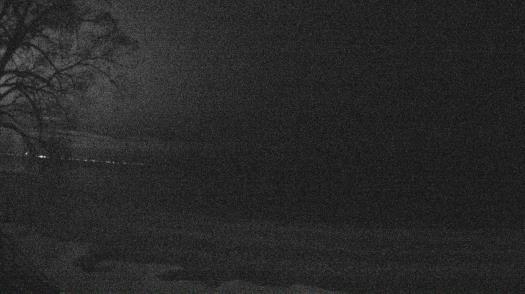 Weather camera view of Forest Lawn Beach.