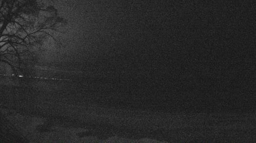 Weather camera view of Forest Lawn Beach.