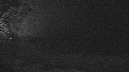 Weather camera view of Forest Lawn Beach.