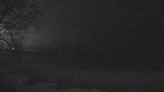 Weather camera view of Forest Lawn Beach.
