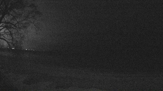 Weather camera view of Forest Lawn Beach.