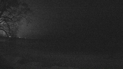 Weather camera view of Forest Lawn Beach.
