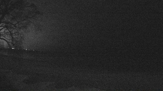 Weather camera view of Forest Lawn Beach.