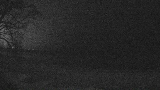 Weather camera view of Forest Lawn Beach.