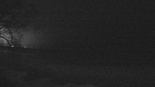 Weather camera view of Forest Lawn Beach.