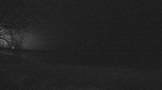 Weather camera view of Forest Lawn Beach.