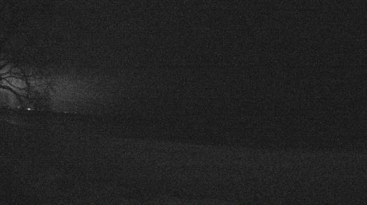 Weather camera view of Forest Lawn Beach.