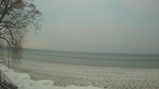Weather camera view of Forest Lawn Beach.
