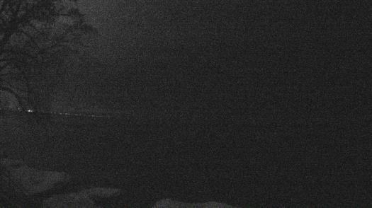 Weather camera view of Forest Lawn Beach.