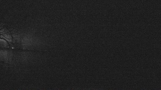 Weather camera view of Forest Lawn Beach.