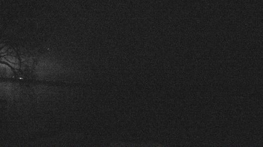 Weather camera view of Forest Lawn Beach.