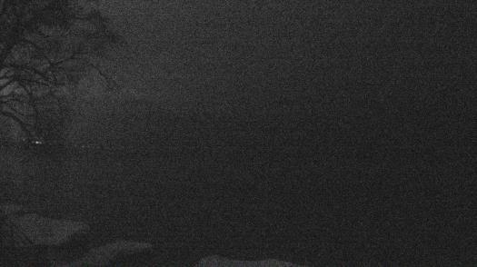 Weather camera view of Forest Lawn Beach.