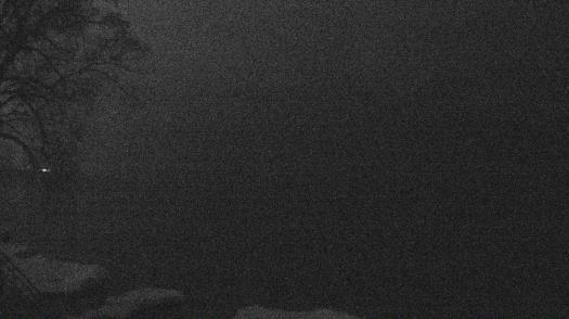 Weather camera view of Forest Lawn Beach.