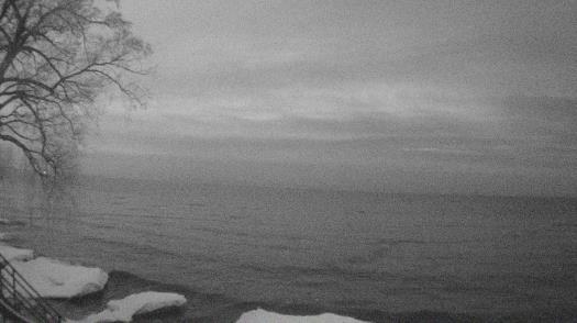 Weather camera view of Forest Lawn Beach.