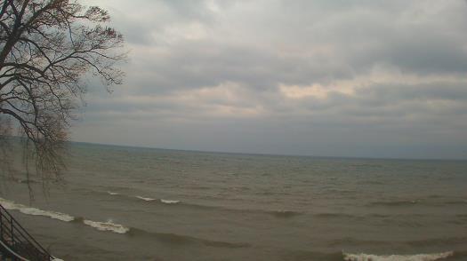 Weather camera view of Forest Lawn Beach.