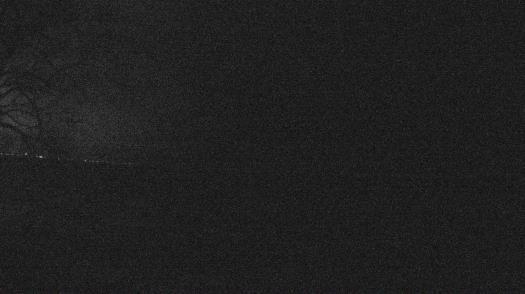 Weather camera view of Forest Lawn Beach.