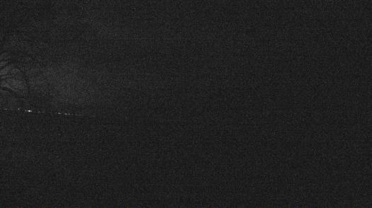 Weather camera view of Forest Lawn Beach.