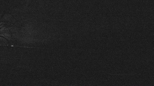 Weather camera view of Forest Lawn Beach.