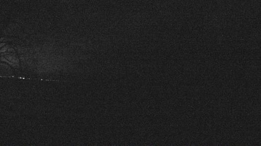 Weather camera view of Forest Lawn Beach.