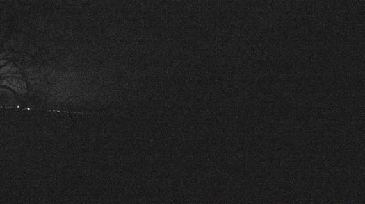 Weather camera view of Forest Lawn Beach.