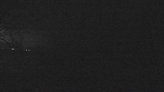 Weather camera view of Forest Lawn Beach.