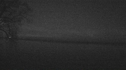 Weather camera view of Forest Lawn Beach.