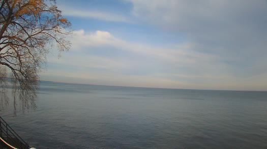 Weather camera view of Forest Lawn Beach.