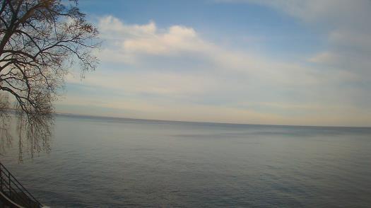 Weather camera view of Forest Lawn Beach.