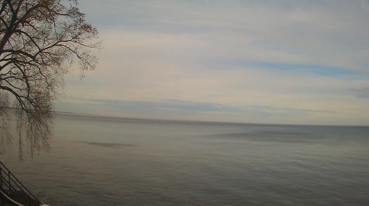 Weather camera view of Forest Lawn Beach.